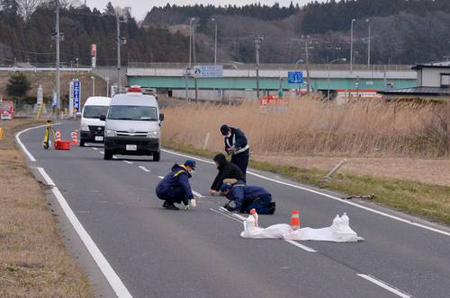 ひき逃げ現場を調べる捜査員=28日午前7時半ごろ、八戸市河原木前谷地