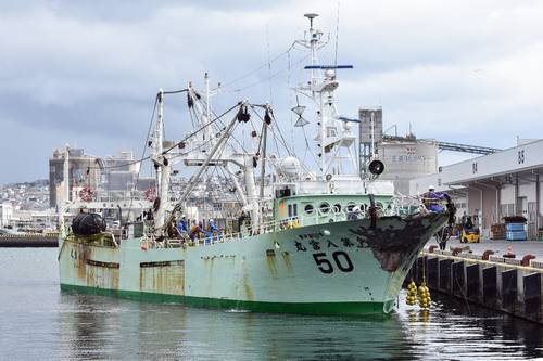 事故後に八戸港に接岸する「第８富丸」＝１日、八戸市