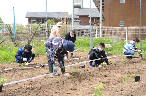 ホップの苗を植える村民有志