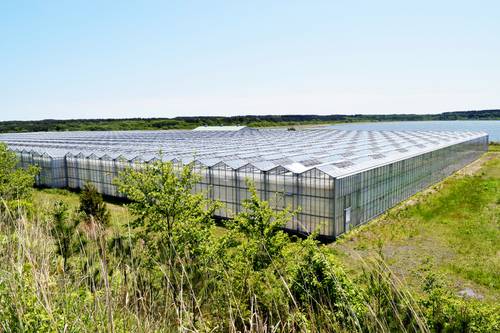 六ケ所村が土地を購入するフローリテックジャパンの工場敷地＝２９日、六ケ所村尾駮