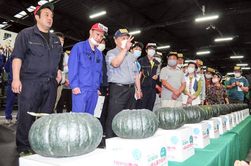 1個1万円の値が付いた一球入魂かぼちゃの初競り=27日、八戸市中央卸売市場