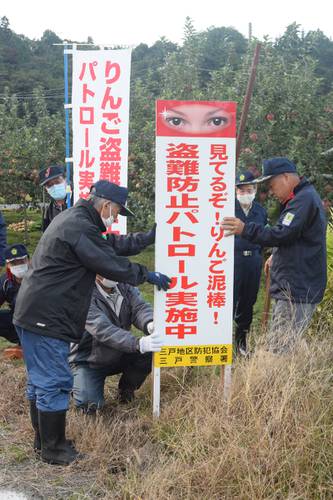 リンゴの盗難防止へ向けて看板やのぼりを設置する関係者
