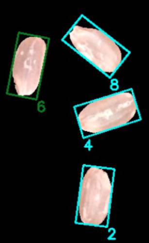 人工知能が複数の米粒の銘柄を判定するイメージ