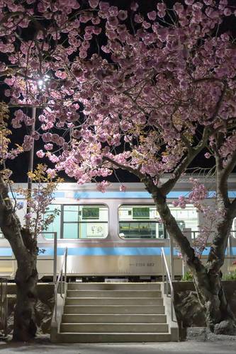 １席に選ばれた大石貴之さんの「平内駅」
